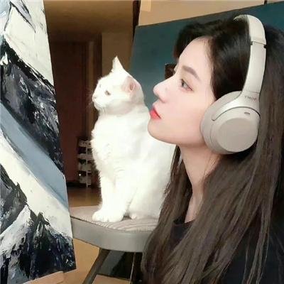 霜雪极地在线观看