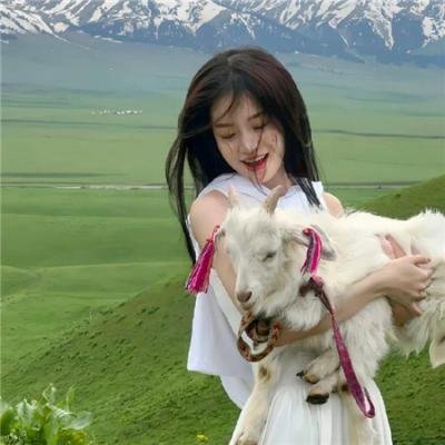 未命名的特雷·帕克电影在线观看